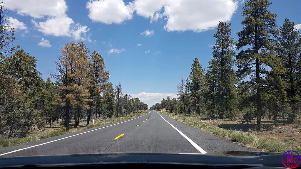 Acceso al Gran Cañon