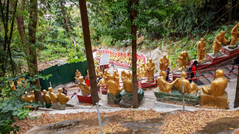 El Monasterio de los Diez Mil Budas Hong Kong