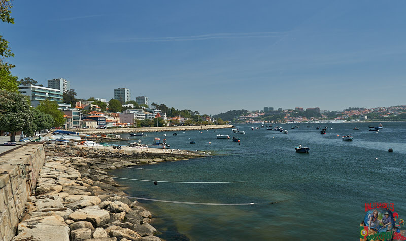 Oporto Ribera del Duero