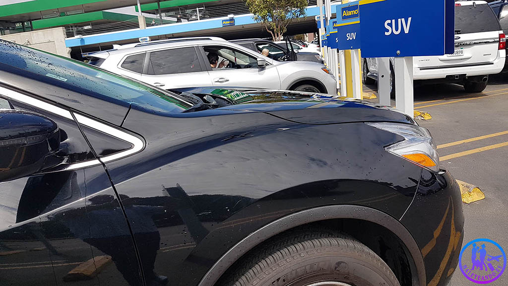 Vehículo alquiler Aparcamiento Renta Car Alamo los Ángeles