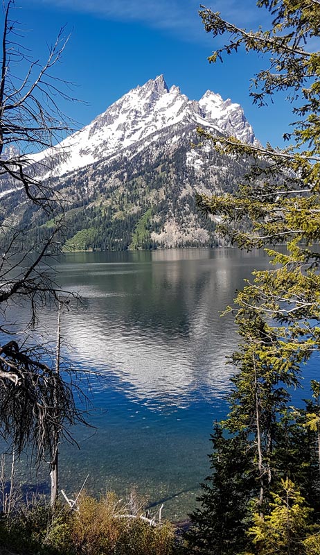 Jeeny Lake Gran Teton
