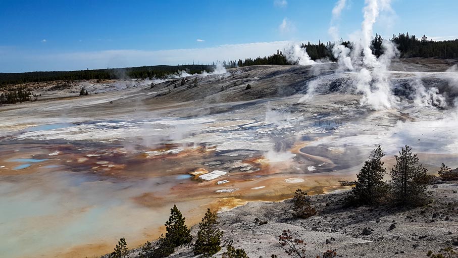 Yellowstone Norris Geyser Basin