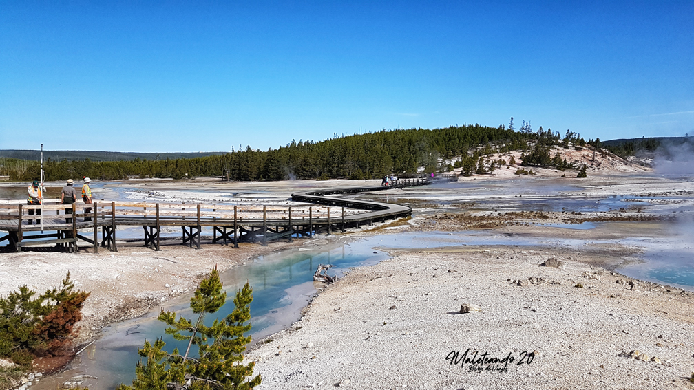 Yellowstone Norris Geyser Basin