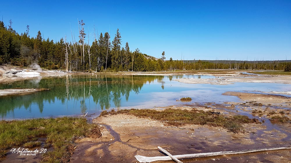Yellowstone Norris Geyser Basin