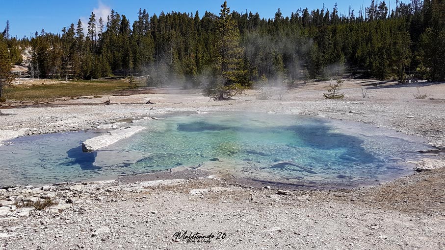 Yellowstone Norris Geyser Basin