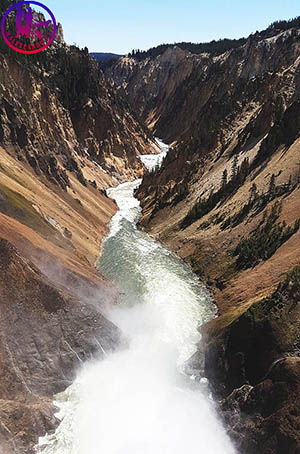 Yellowstone