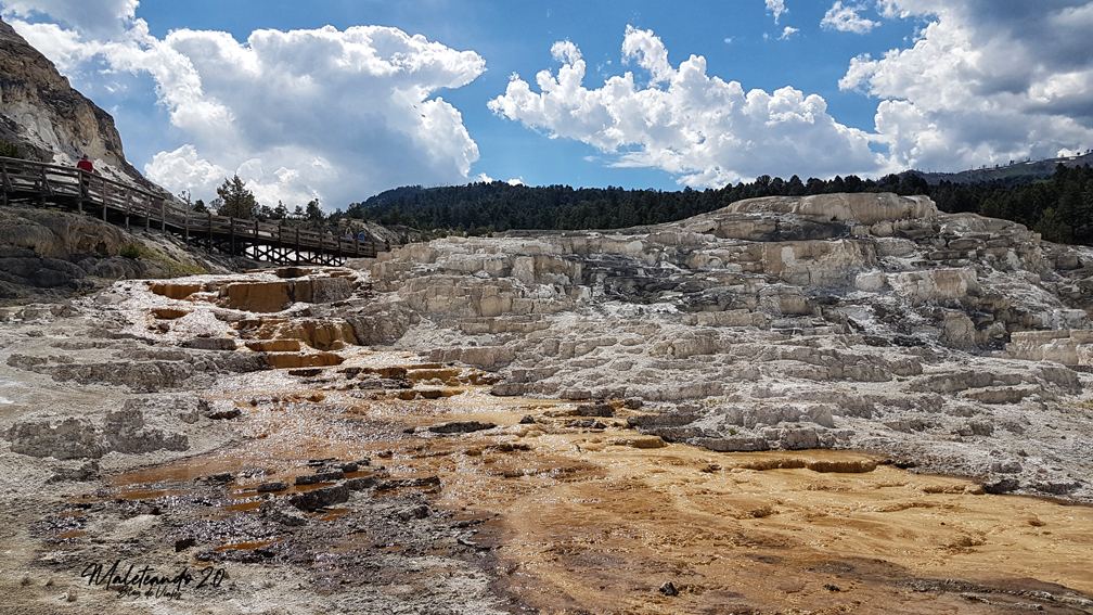 Yellowstone Lower Terraces
