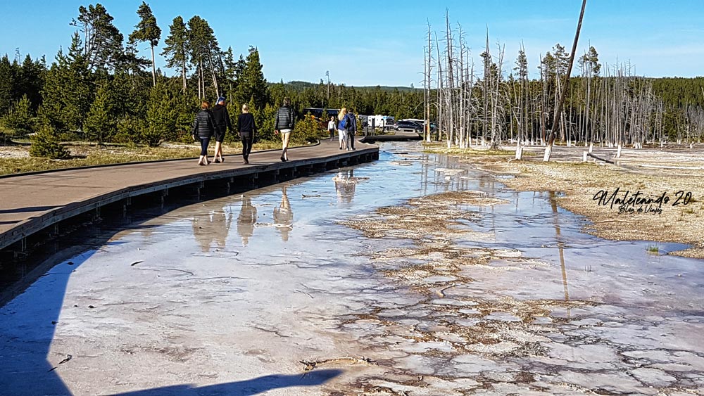 Yellowstone Lower Loop Road
