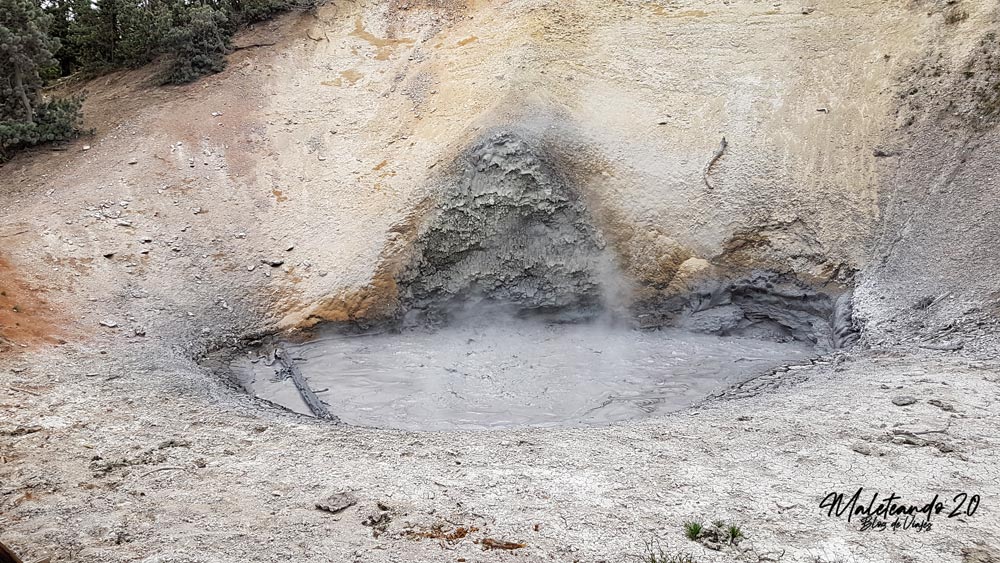 Yellowstone Mud Volcano