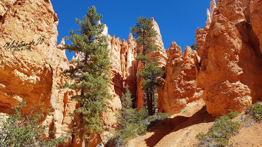Navajo Loop Trail Bryce Canyon