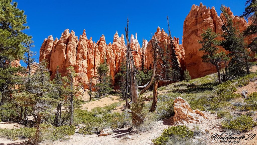 Navajo Loop Trail Bryce Canyon