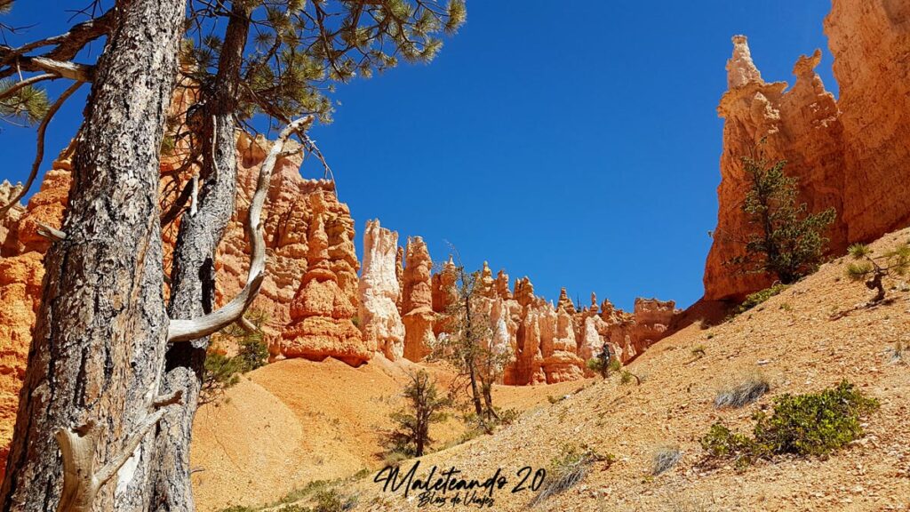 Navajo Loop Trail Bryce Canyon