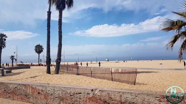 Paseo Marítimo Santa Mónica