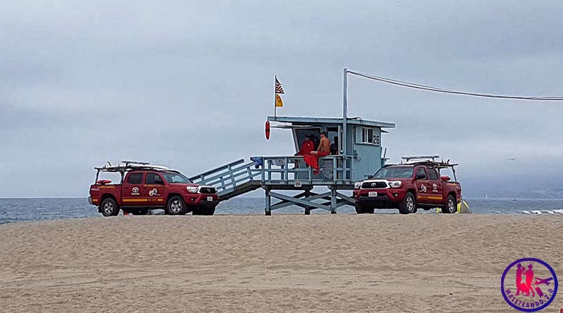 Playa de Santa Mónica LifeGuard