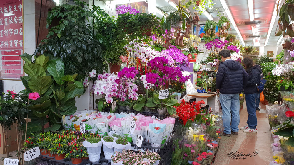 Hong Kong Mercados