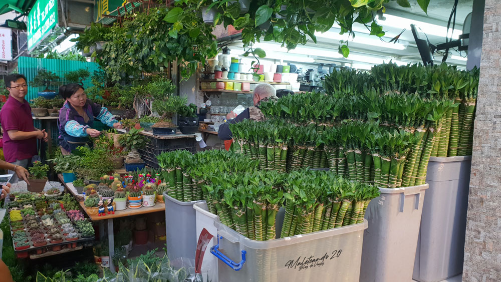 Hong Kong Mercados
