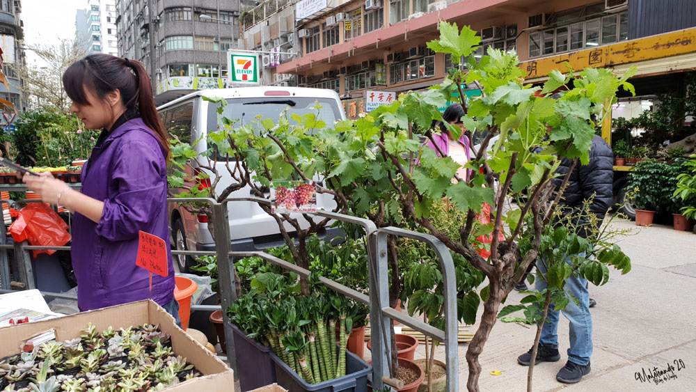 Hong Kong Mercados