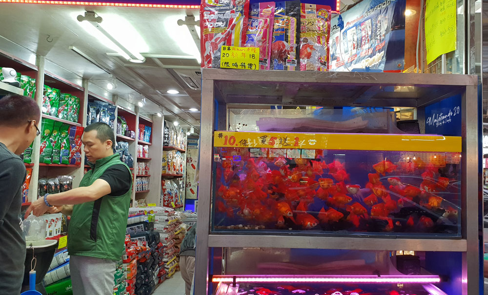 Hong Kong Mercados