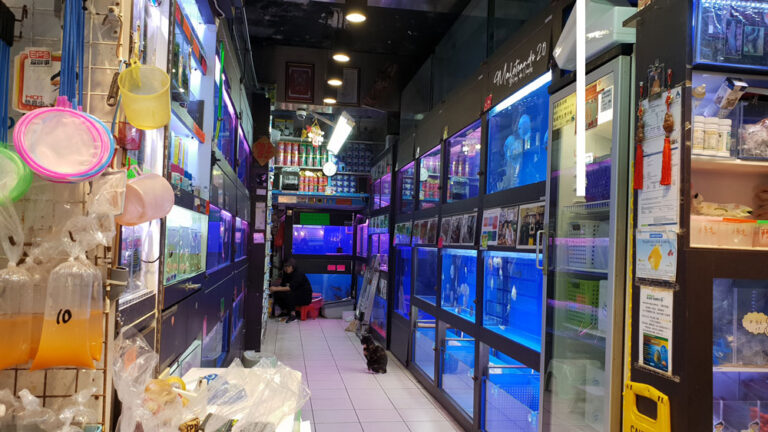 Hong Kong Mercados