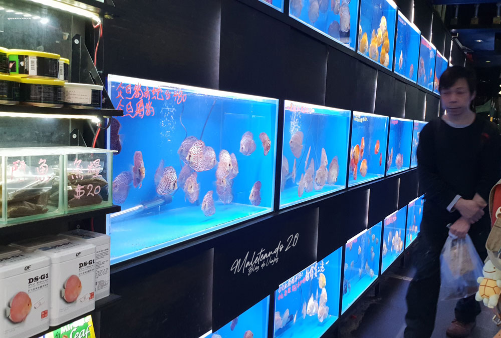 Hong Kong Mercados
