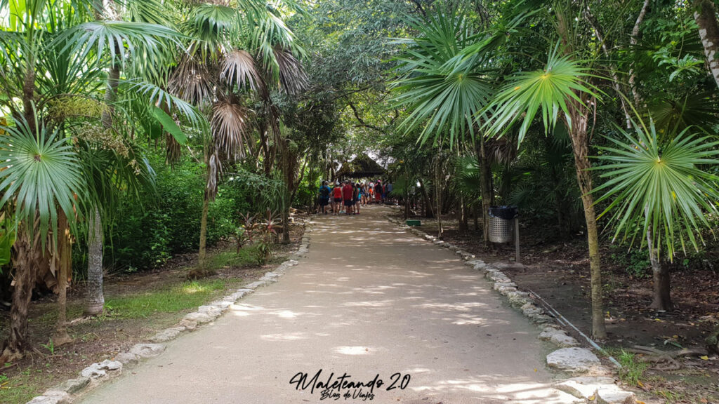 acceso ruinas mayas Tulum