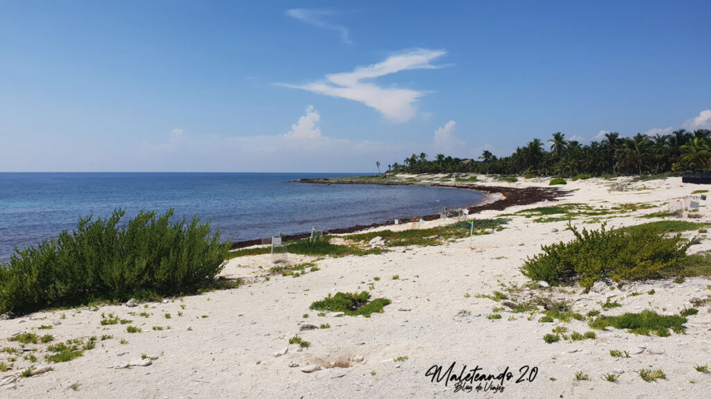 Gran Sirenis, Playa Riviera Maya