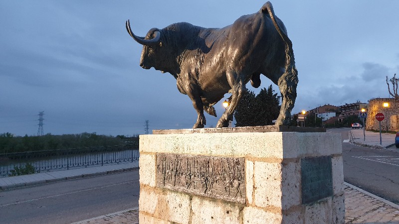 Toro de la Vega Tordesillas