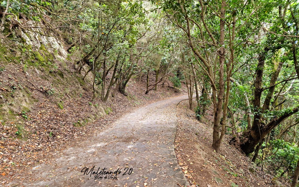 Chorros de Epina La Gomera