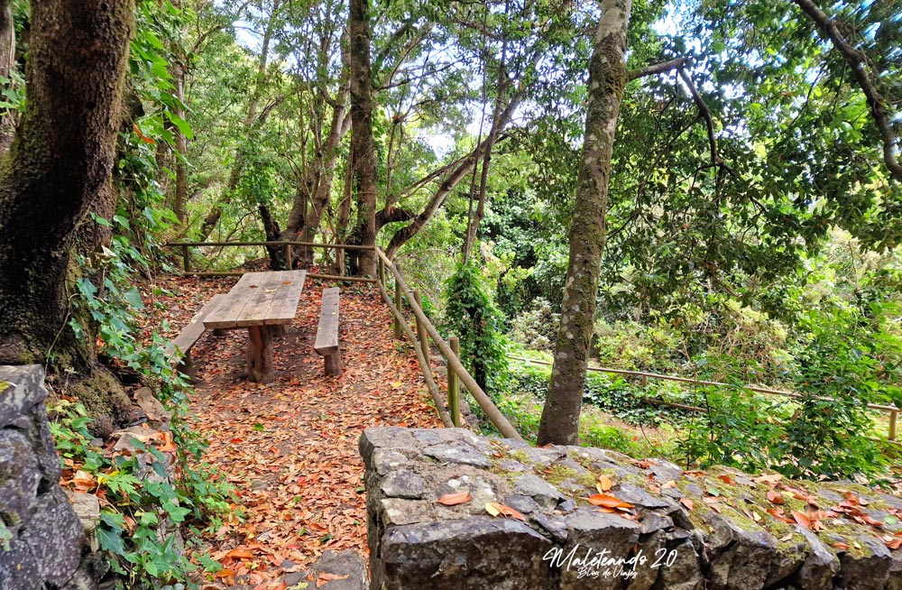 Chorros de Epina La Gomera