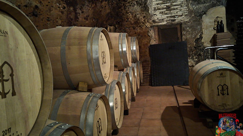 Bodegas Muela Tordesillas