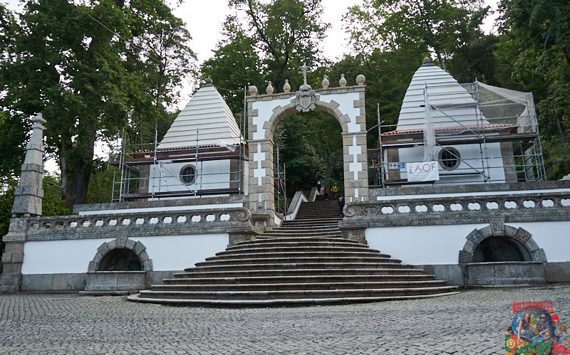 DSC02992