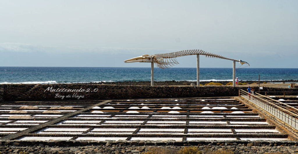 Salinas del Carmen Fuerteventura