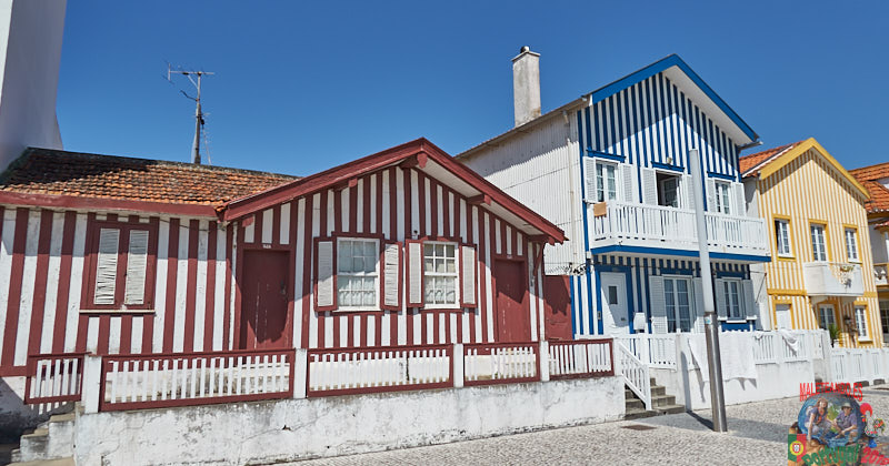 DSC03630