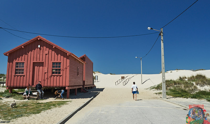 DSC03646