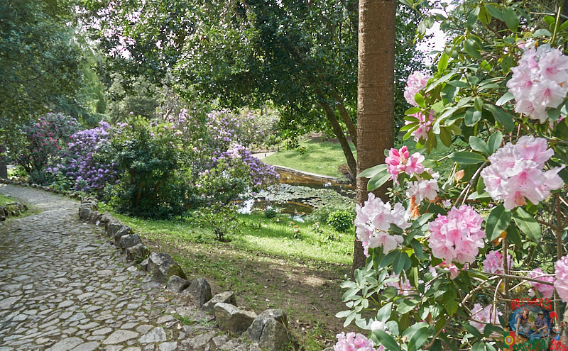 DSC04359