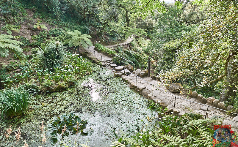 DSC04366