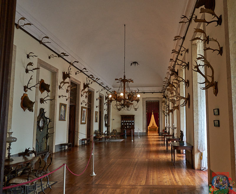 Sala de Caza Palacio nacional Mafra
