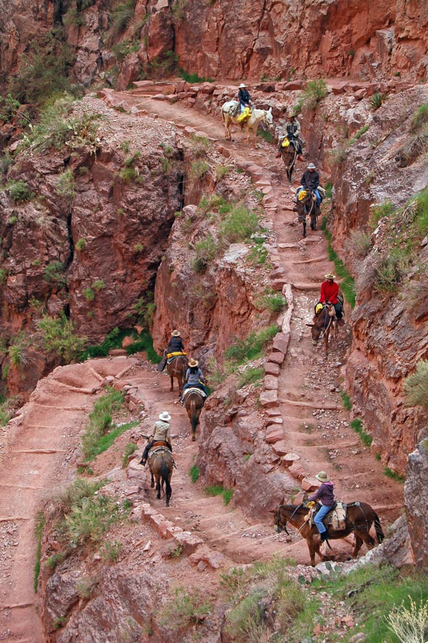 Grand_Canyon_Mulas